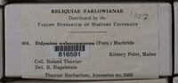 Image Associated With the Occurence